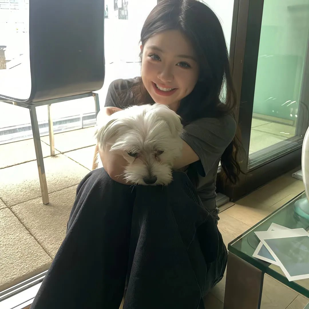 格里芬与菲尼克斯