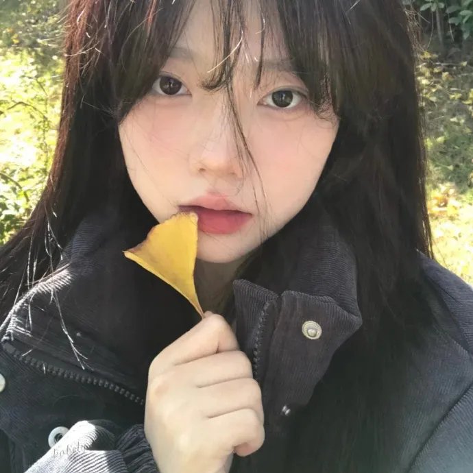 我的狗蚪蚪